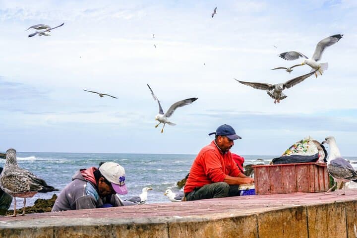 Private 2-Day Trip Rabat to Essaouira: Argan Coops, Medina & Atlantic Coast photo 3