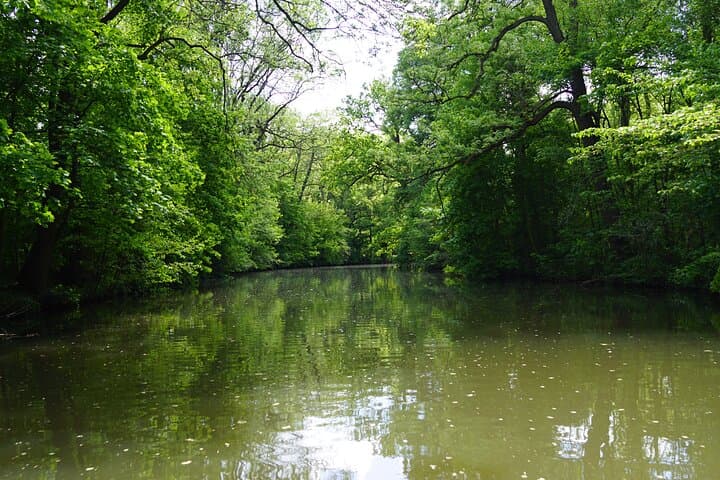 Paddle the Leipzig Auwald: 1-Hour 3-Seater Canoe Rental photo 6