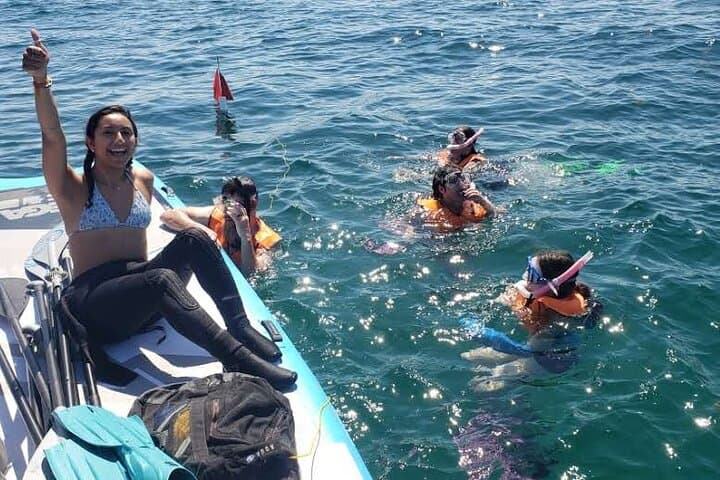Beginner Friendly Island Snorkeling in Biscayne Bay: Kayak & SUP to Sandspur Island photo 3