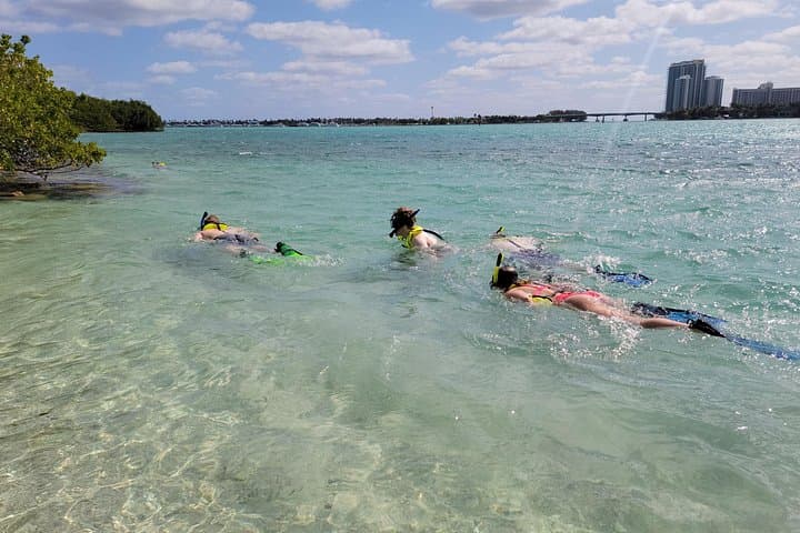 Beginner Friendly Island Snorkeling in Biscayne Bay: Kayak & SUP to Sandspur Island photo 1
