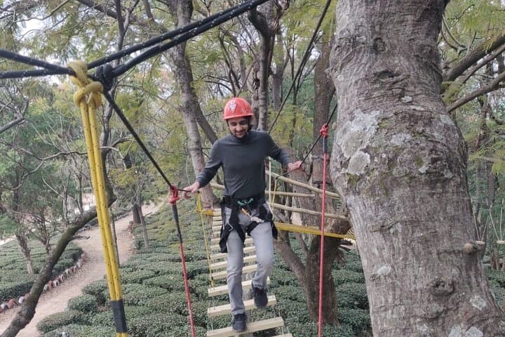 Tea Top Rope Course Above Palampur Tea Gardens photo 3