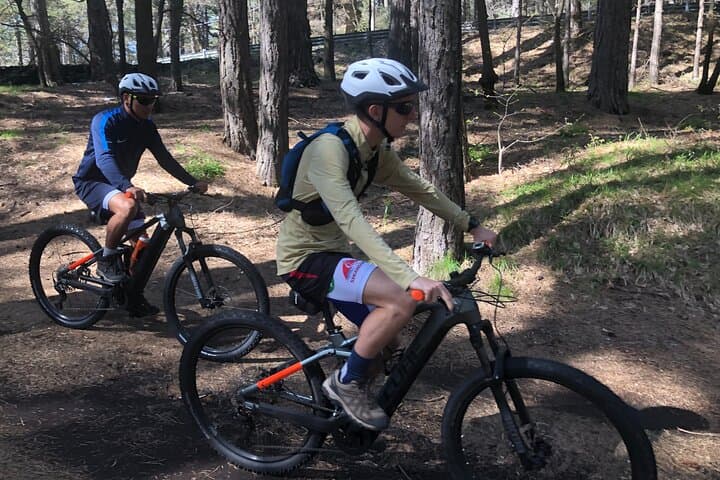 Half-Day Etna E‑MTB Adventure: Pine Forests, Lava Flows & Grotta dei Lamponi photo 3