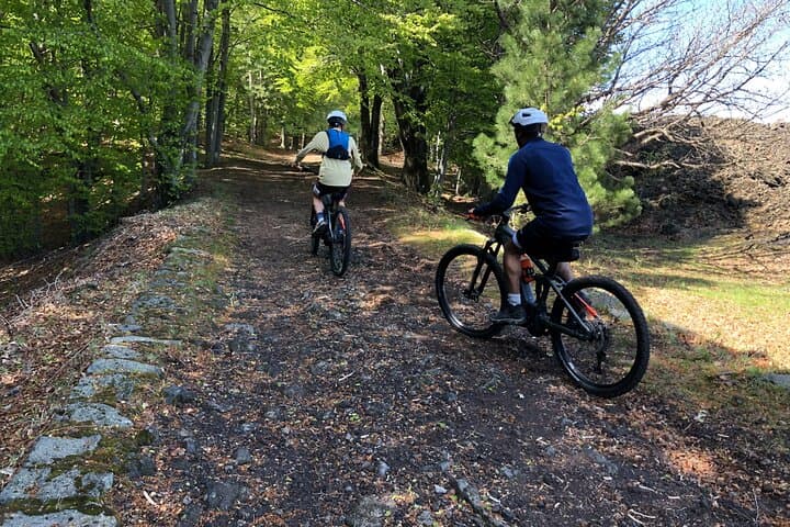 Half-Day Etna E‑MTB Adventure: Pine Forests, Lava Flows & Grotta dei Lamponi photo 4