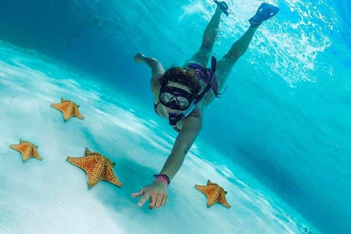 Cozumel Cielo Snorkel: El Cielo, Palancar & Columbia Reef Full-Day Trip photo 1