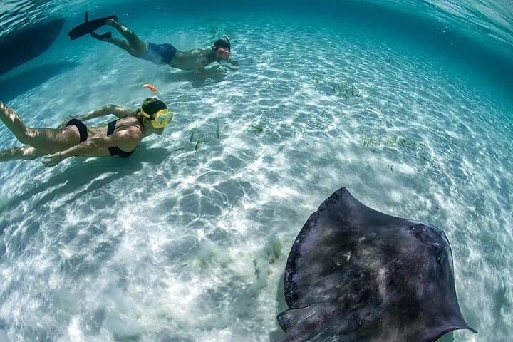 Cozumel Cielo Snorkel: El Cielo, Palancar & Columbia Reef Full-Day Trip photo 3