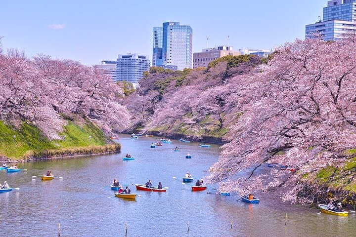 Tokyo Self-Guided Audio Tour — Explore 22 Landmarks at Your Own Pace