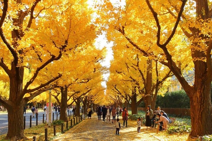 Tokyo Self-Guided Audio Tour — Explore 22 Landmarks at Your Own Pace photo 3