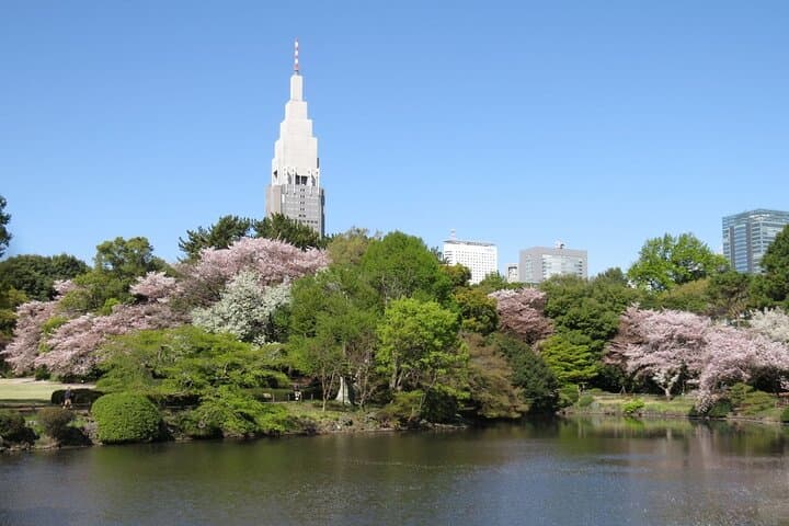 Tokyo Self-Guided Audio Tour — Explore 22 Landmarks at Your Own Pace photo 5