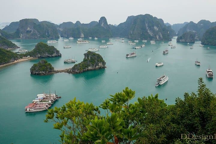 Halong Bay Full-Day Cruise with Kayak, Surprise Cave & Titov Island photo 3
