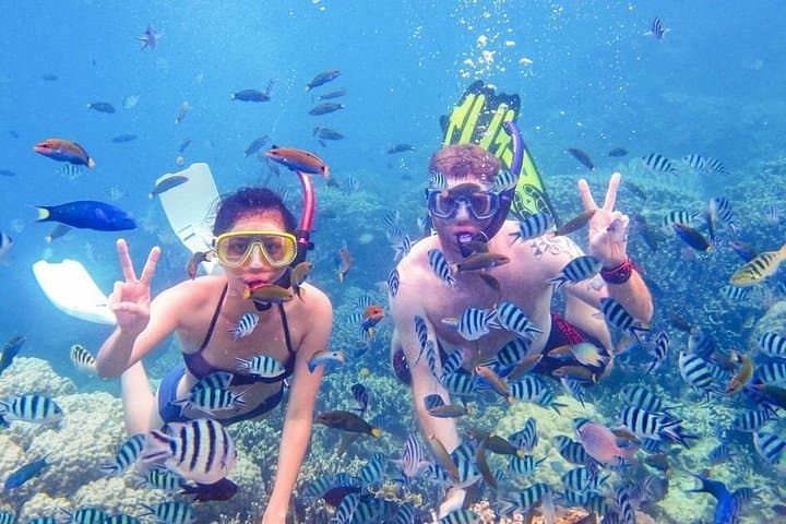 Cham Island Snorkeling from Hoi An: Day Trip to Cu Lao Cham Marine Park photo 1