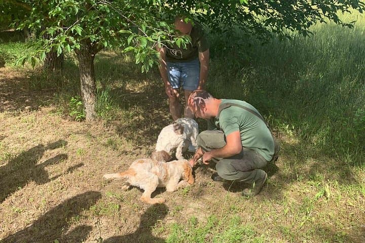 Truffle Hunting in Umbria: Day Trip with Lunch and Spello Guided Tour photo 3