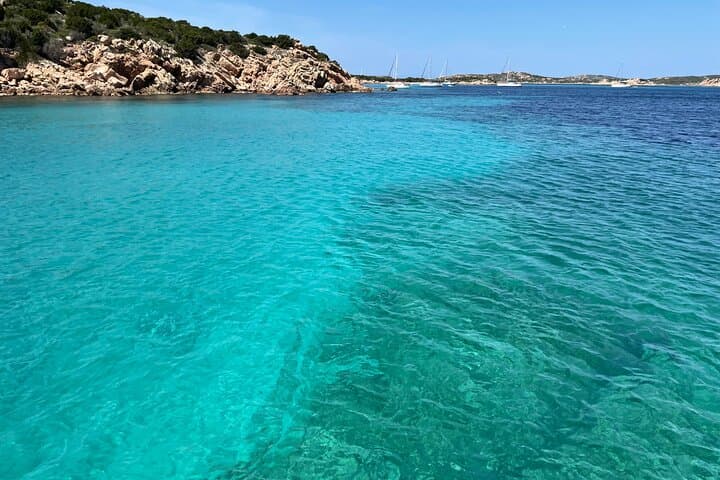 Sail the Maddalena Archipelago: Private Sailboat Tour from Palau photo 5