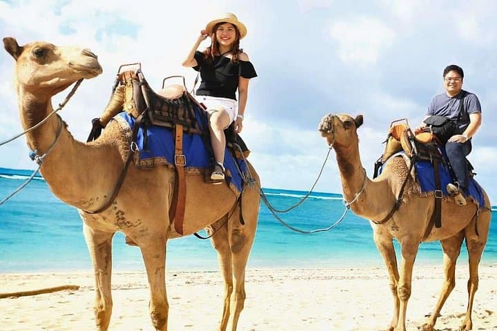 Day Trip to Dahab from Sharm El Sheikh: Snorkel, Camel Ride & City Walk photo 2