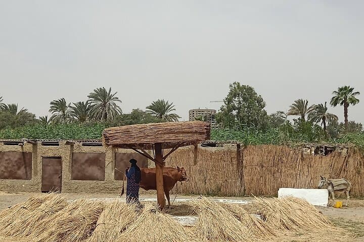Pharaonic Village Half-Day Tour — Sail Cairo’s Living Museum photo 4