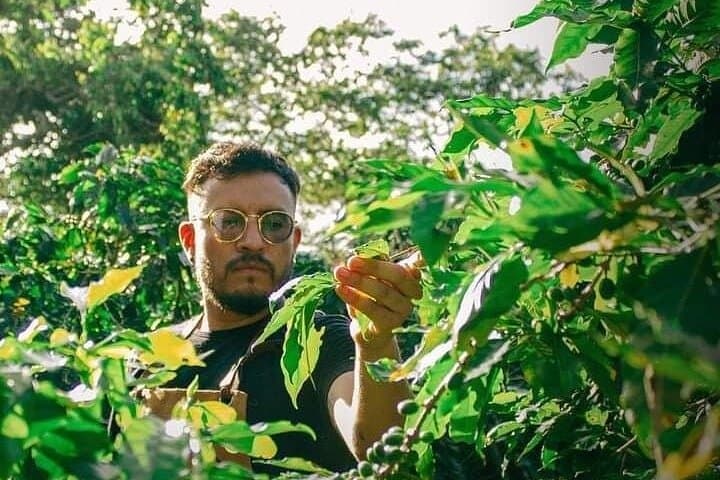 Coatepec Coffee Farm Tour & Tasting: High-Altitude Beans and Barista Class photo 2
