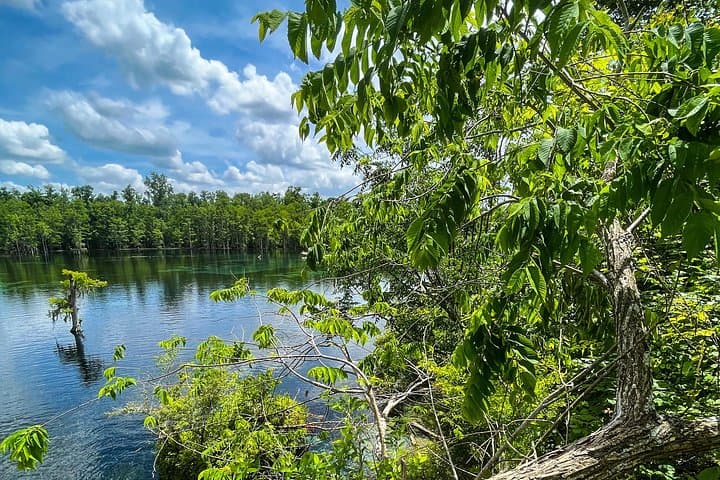 Clear Kayaking Eco Adventure in Marianna: Paddle Limestone Springs & Underwater Caves photo 3