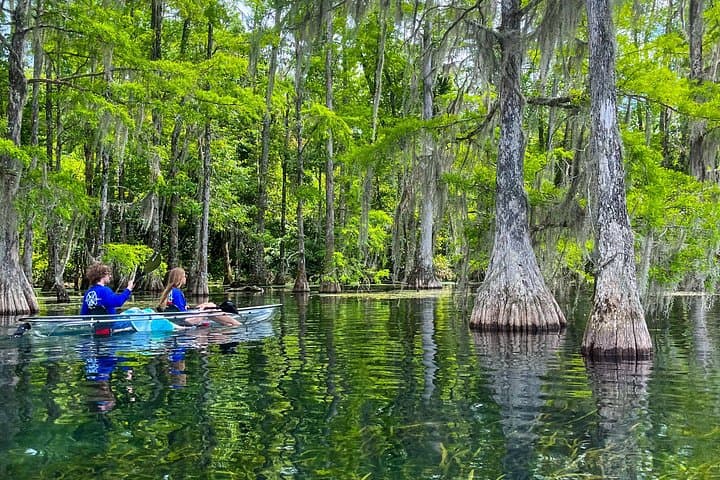 Clear Kayaking Eco Adventure in Marianna: Paddle Limestone Springs & Underwater Caves photo 4