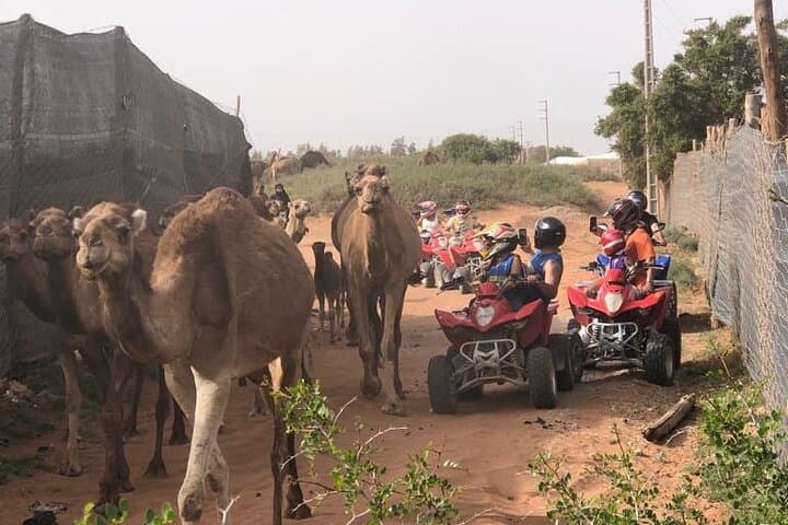 Half-Day Quad Adventure in Agadir: Dunes, Argan Forests & Beach Views photo 4