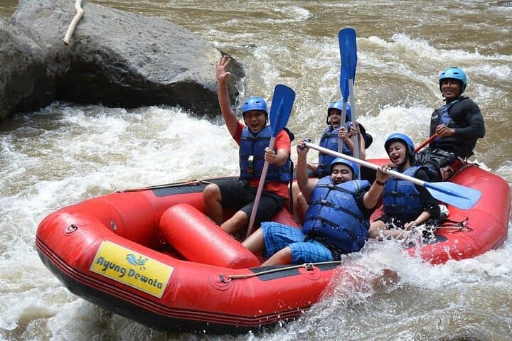 Ayung River White Water Rafting in Ubud — 10 km Jungle Rapids Adventure photo 6