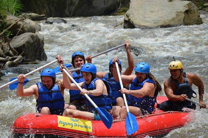 Ayung River White Water Rafting in Ubud — 10 km Jungle Rapids Adventure photo 2