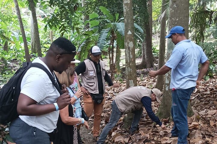 Half-Day Eco-Cultural Excursion to a Magic Town Near Cartagena photo 5