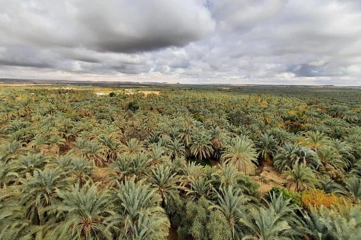 One-Day Safari to Egypt’s White Desert and Black Desert from Cairo photo 5