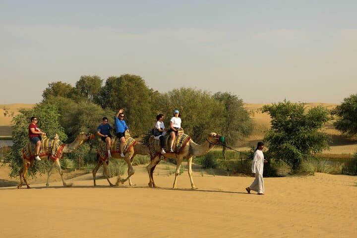 Camel Caravan & Bedouin Breakfast at Al Marmoom Oasis — Dubai Desert Experience