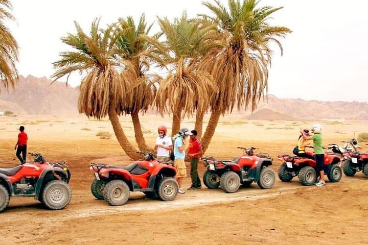 Red Desert Quad Safari & Bedouin Village Visit — Hurghada Adventure photo 4