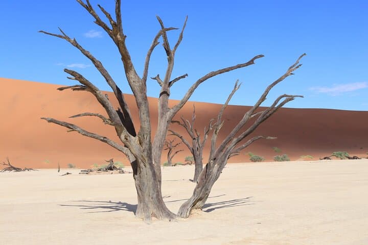 Sossusvlei to Sandwich Harbour: A 5-Day Namibia Photography Journey