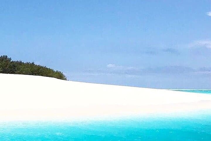 Mnemba Island Snorkel & Dolphin Swim with Nungwi Sunset photo 2
