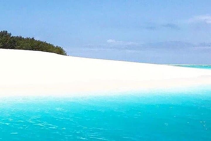 Zanzibar Full-Day: Mnemba Dolphin Snorkel, Stone Town & Spice Farm Lunch photo 1
