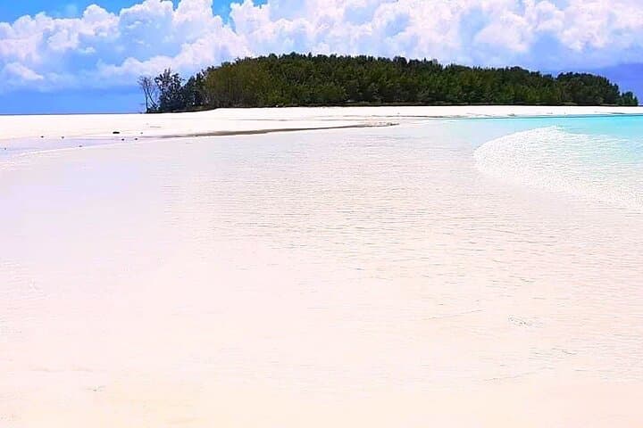 Mnemba Dolphin & Spice Island Day Tour from Stone Town — Snorkel Mnemba Atoll, Prison Island & Spice Farm photo 2