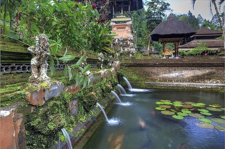 Private Ubud Day Tour: Monkey Forest, Rice Terraces & Jungle Swing photo 5