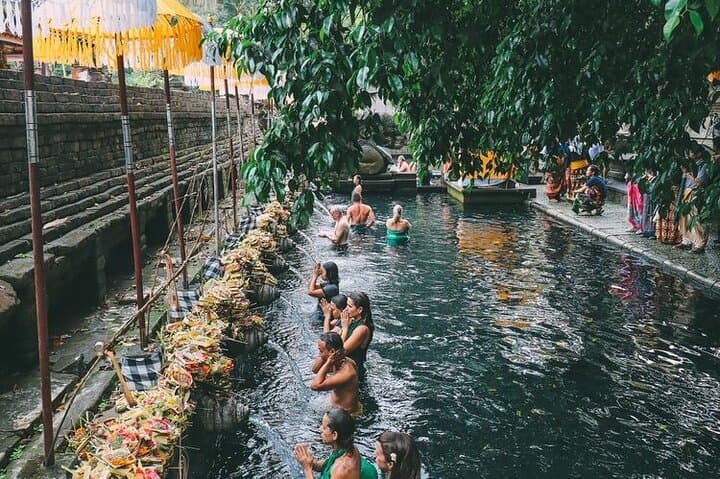 Full-Day Ubud Sightseeing: Monkey Forest, Tirta Empul & Tegalalang Rice Terraces photo 2
