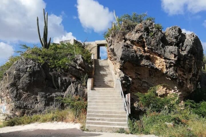 Eastern Treasures of Curaçao: Ostrich Farm, Aloe Fields & Beekenburg Fort Tour