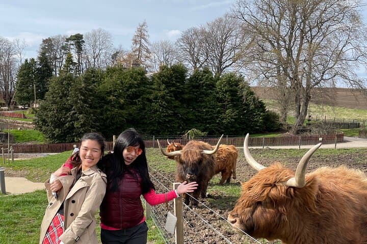 Speyside Whisky Tour from Inverness — Distilleries, Tastings & Scenic Drive photo 2