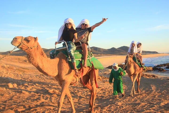 Cabo Desert Combo: ATV & Camel Ride with Tequila Tasting photo 3