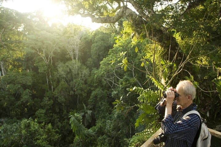 Cuc Phuong National Park Day Trek: Primates, Ancient Trees & Prehistoric Cave