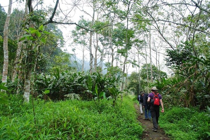 Cuc Phuong National Park Day Trek: Primates, Ancient Trees & Prehistoric Cave photo 5