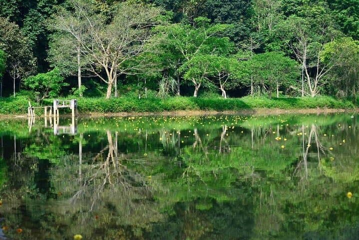 Cuc Phuong National Park Day Trek: Primates, Ancient Trees & Prehistoric Cave photo 4
