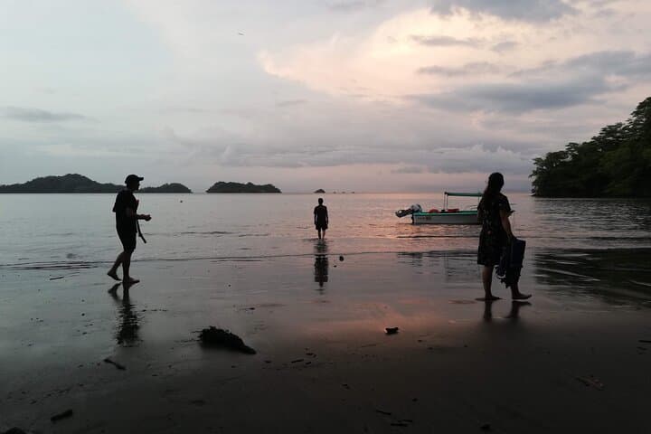 Sunset Bioluminescence Boat Tour in Paquera Bay, Costa Rica photo 5