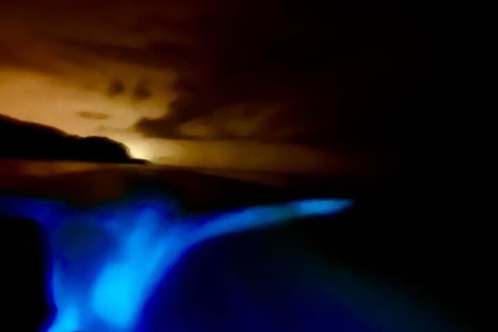 Sunset Bioluminescence Boat Tour in Paquera Bay, Costa Rica photo 4