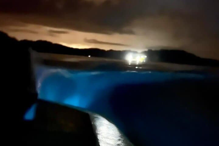 Sunset Bioluminescence Boat Tour in Paquera Bay, Costa Rica