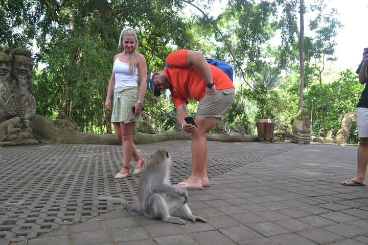 Ubud Monkey Forest & Highlights: Rice Terraces, Waterfall and Balinese Art in a Day