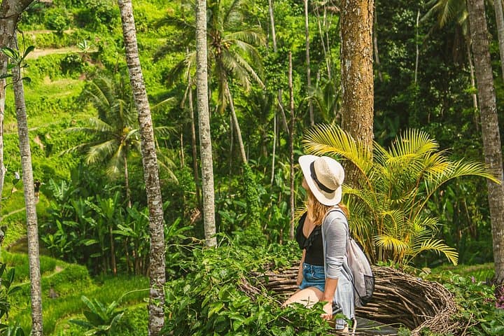 Ubud Bali Swing & Waterfall Day Trip: Swings, Temples, and Rural Culture photo 4
