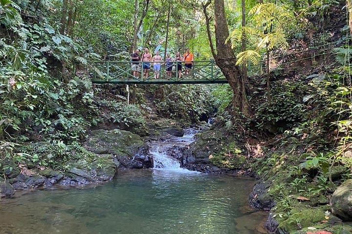Hacienda Ébano Waterfalls & Jungle Safari: Private Tour from Dominical photo 4