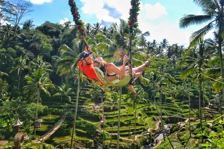 Ubud Day Trip: Rice Terraces, Temple Purification & Waterfall Adventure photo 4