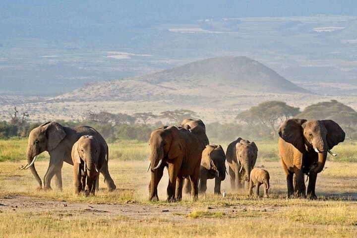 3-Day Masai Mara Group Safari — Big Five Game Drives, Rift Valley Pass & Maasai Village photo 4