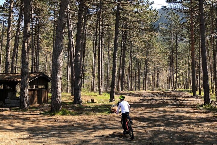 Electric Mountain Bike Rental in Bobbio — Explore Val Trebbia by e-MTB photo 3