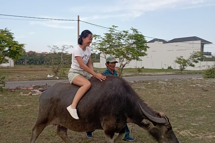 Hoi An Countryside Bicycle Tour with Local Lunch photo 6